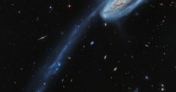 Los astrónomos de Ibiza reaparecen en la 'Imagen del Día' de la NASA